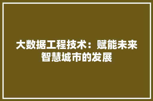 大数据工程技术：赋能未来智慧城市的发展 现代风格装饰