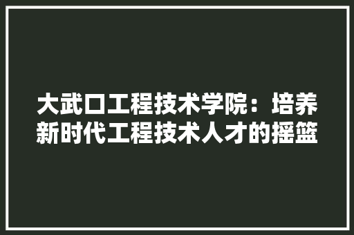 大武口工程技术学院：培养新时代工程技术人才的摇篮 现代风格装饰