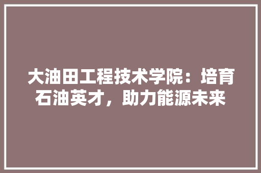 大油田工程技术学院：培育石油英才，助力能源未来 现代风格装饰