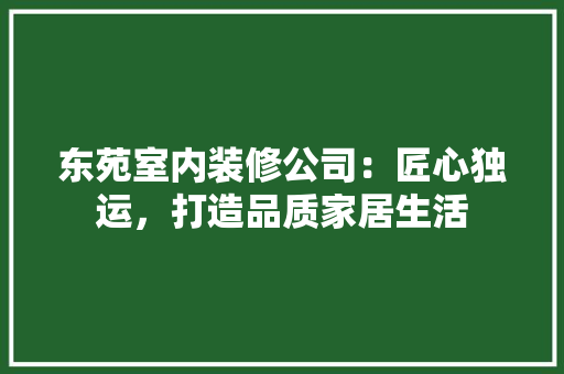 东苑室内装修公司：匠心独运，打造品质家居生活 家居装修