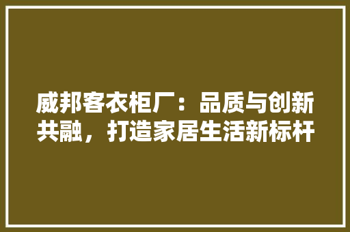 威邦客衣柜厂：品质与创新共融，打造家居生活新标杆 现代风格装饰