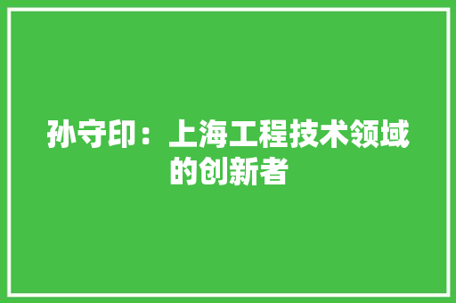 孙守印：上海工程技术领域的创新者 现代风格装饰