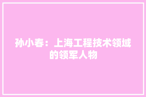 孙小春：上海工程技术领域的领军人物 现代风格装饰