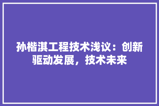 孙楷淇工程技术浅议：创新驱动发展，技术未来 现代风格装饰
