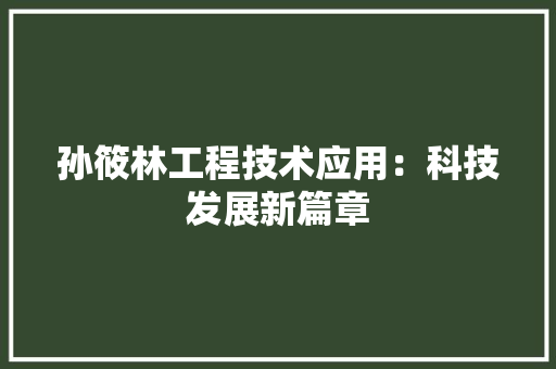 孙筱林工程技术应用：科技发展新篇章 现代风格装饰