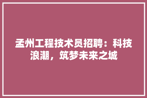 孟州工程技术员招聘：科技浪潮，筑梦未来之城 现代风格装饰