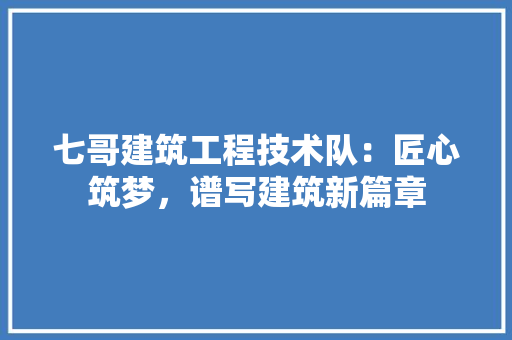 七哥建筑工程技术队：匠心筑梦，谱写建筑新篇章