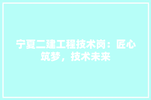 宁夏二建工程技术岗：匠心筑梦，技术未来 现代风格装饰