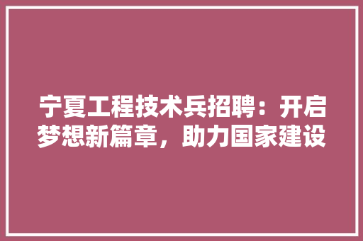 宁夏工程技术兵招聘：开启梦想新篇章，助力国家建设 现代风格装饰