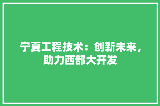 宁夏工程技术：创新未来，助力西部大开发 现代风格装饰