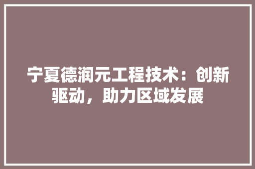 宁夏德润元工程技术：创新驱动，助力区域发展 现代风格装饰
