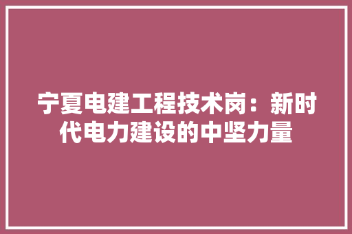 宁夏电建工程技术岗：新时代电力建设的中坚力量 现代风格装饰
