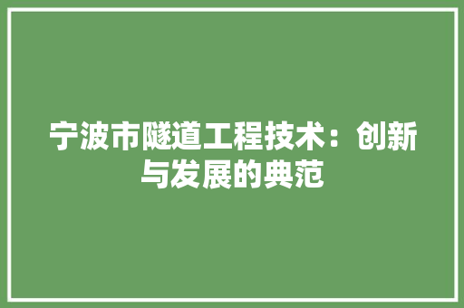 宁波市隧道工程技术：创新与发展的典范