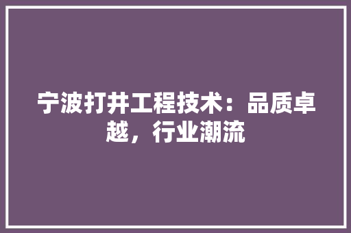宁波打井工程技术：品质卓越，行业潮流 现代风格装饰