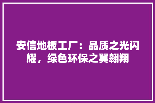 安信地板工厂：品质之光闪耀，绿色环保之翼翱翔 现代风格装饰