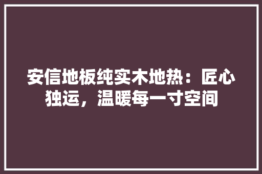 安信地板纯实木地热：匠心独运，温暖每一寸空间 现代风格装饰