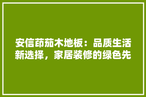 安信茚茄木地板：品质生活新选择，家居装修的绿色先锋 现代风格装饰