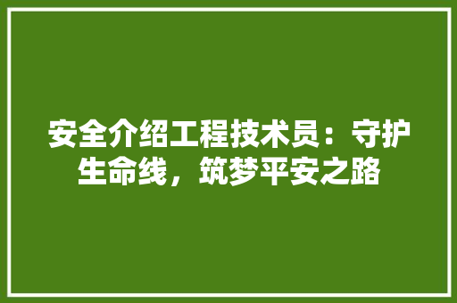 安全介绍工程技术员：守护生命线，筑梦平安之路 现代风格装饰