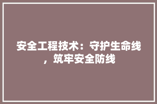 安全工程技术：守护生命线，筑牢安全防线 现代风格装饰