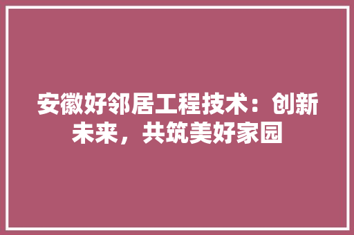 安徽好邻居工程技术：创新未来，共筑美好家园 现代风格装饰