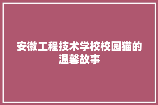 安徽工程技术学校校园猫的温馨故事