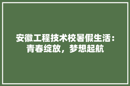 安徽工程技术校暑假生活：青春绽放，梦想起航 现代风格装饰