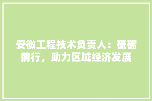 安徽工程技术负责人：砥砺前行，助力区域经济发展 现代风格装饰