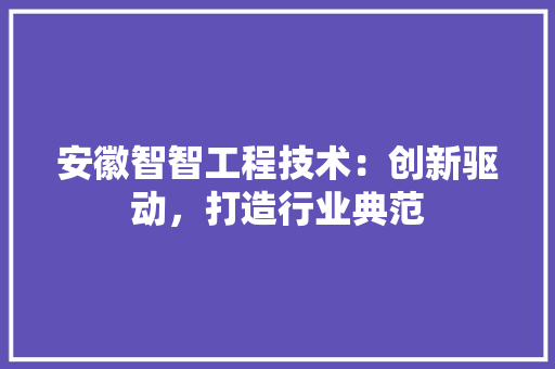 安徽智智工程技术：创新驱动，打造行业典范
