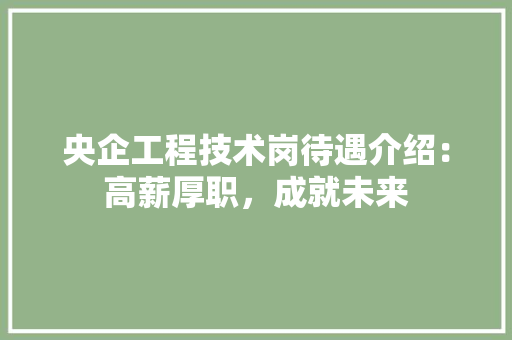 央企工程技术岗待遇介绍：高薪厚职，成就未来 现代风格装饰