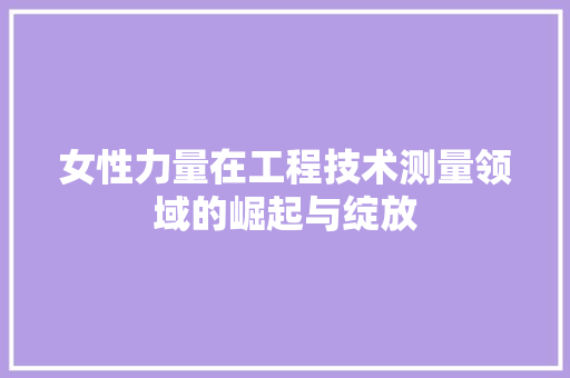 女性力量在工程技术测量领域的崛起与绽放 现代风格装饰
