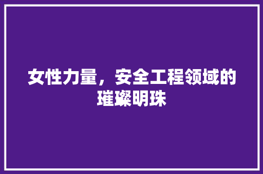 女性力量，安全工程领域的璀璨明珠 现代风格装饰