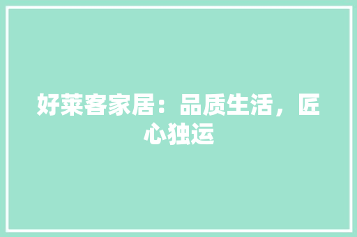 好莱客家居：品质生活，匠心独运