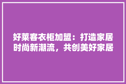 好莱客衣柜加盟：打造家居时尚新潮流，共创美好家居生活 现代风格装饰
