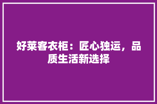 好莱客衣柜：匠心独运，品质生活新选择 现代风格装饰