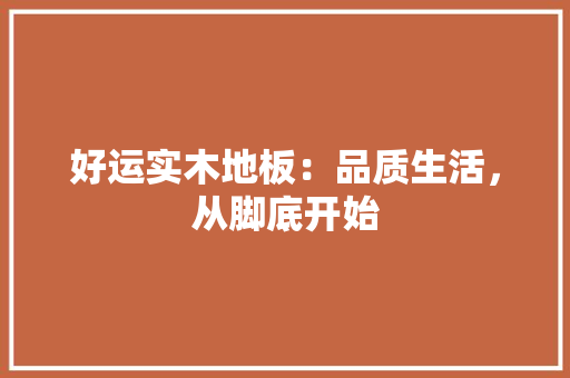 好运实木地板：品质生活，从脚底开始 现代风格装饰