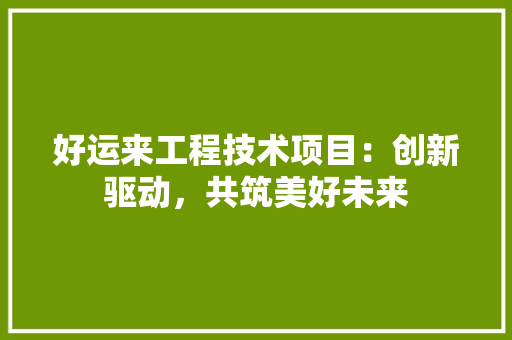 好运来工程技术项目：创新驱动，共筑美好未来