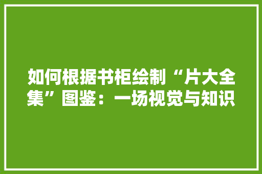 如何根据书柜绘制“片大全集”图鉴：一场视觉与知识的盛宴 现代风格装饰