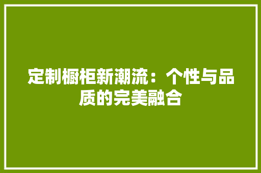 定制橱柜新潮流：个性与品质的完美融合 现代风格装饰
