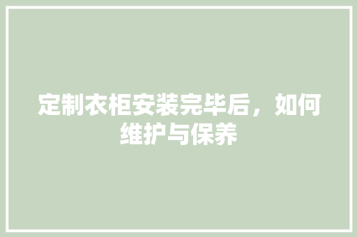 定制衣柜安装完毕后，如何维护与保养 现代风格装饰