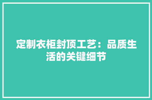 定制衣柜封顶工艺：品质生活的关键细节 现代风格装饰