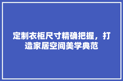 定制衣柜尺寸精确把握，打造家居空间美学典范 现代风格装饰