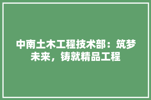 中南土木工程技术部：筑梦未来，铸就精品工程