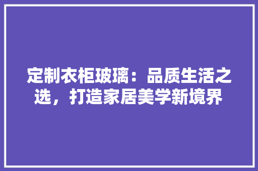 定制衣柜玻璃：品质生活之选，打造家居美学新境界 现代风格装饰