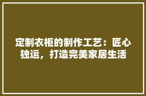 定制衣柜的制作工艺：匠心独运，打造完美家居生活 现代风格装饰