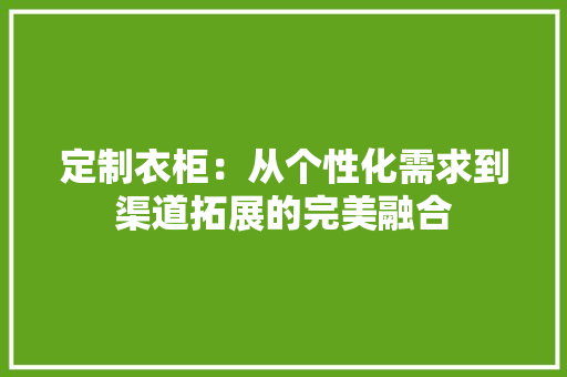 定制衣柜：从个性化需求到渠道拓展的完美融合 现代风格装饰