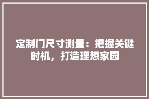 定制门尺寸测量：把握关键时机，打造理想家园 现代风格装饰