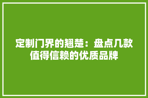 定制门界的翘楚：盘点几款值得信赖的优质品牌 现代风格装饰