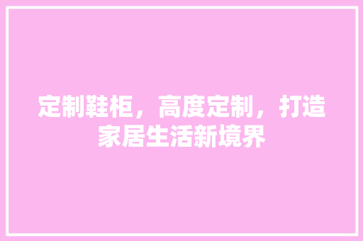 定制鞋柜，高度定制，打造家居生活新境界 现代风格装饰