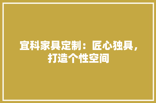 宜科家具定制：匠心独具，打造个性空间 现代风格装饰