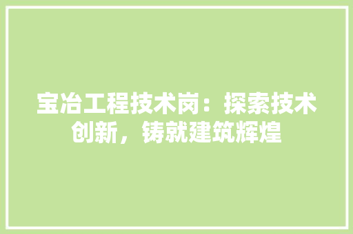 宝冶工程技术岗：探索技术创新，铸就建筑辉煌